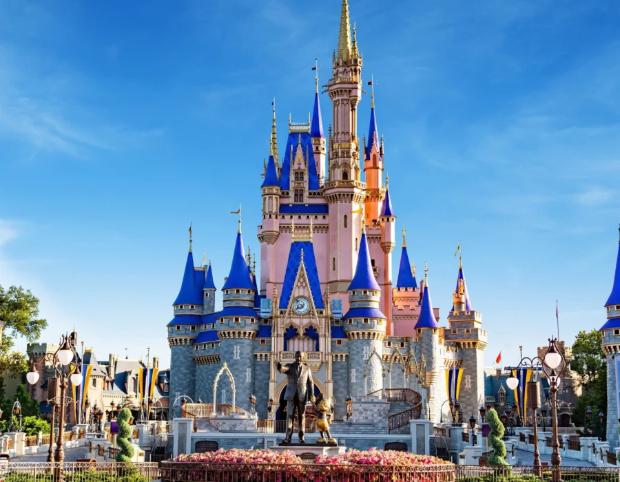 Disney magic kingdom kasteel